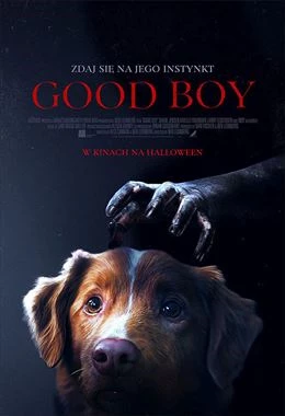 Good Boy- napisy